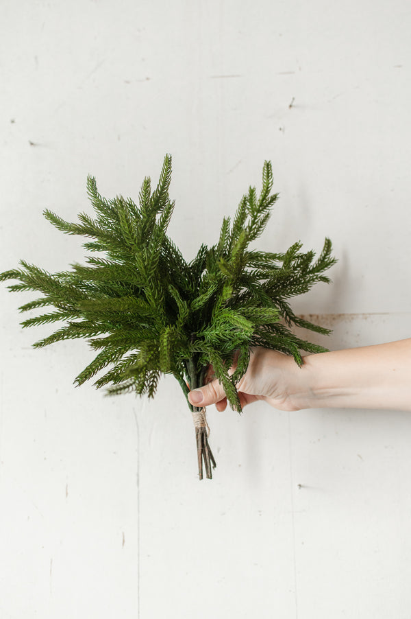 Fresh Touch Norfolk Pine Pick | 12"