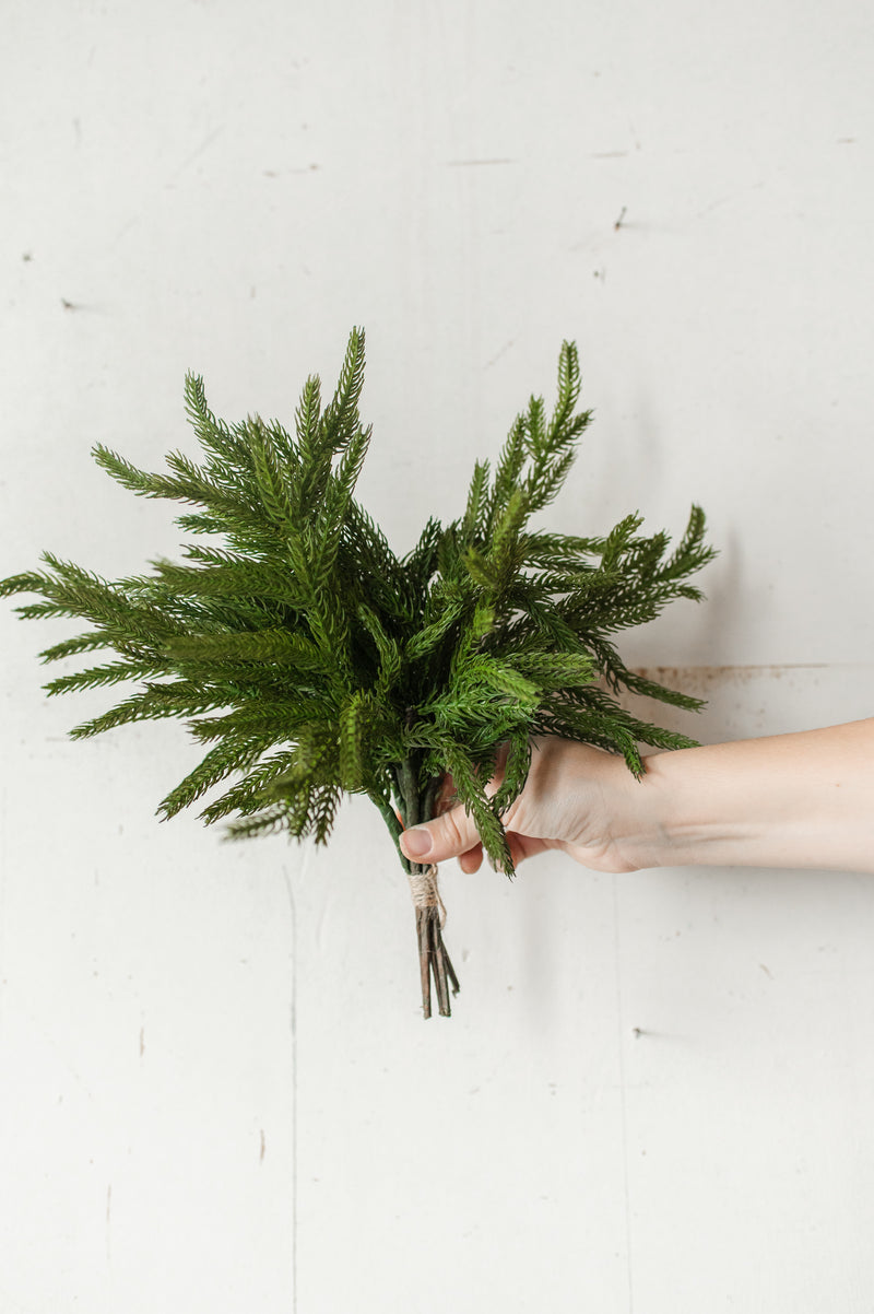 Fresh Touch Norfolk Pine Pick | 12"