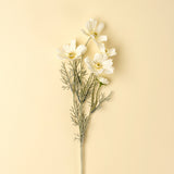 Cosmos Spray | White