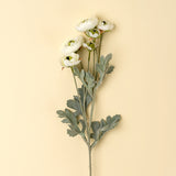 Ranunculus Spray | White