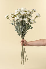 Ranunculus Spray | White