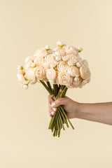Ranunculus Bouquet | Cream