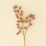 Lantern Flower Stem | Dusty Pink