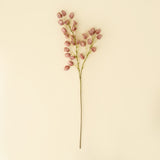Lantern Flower Stem | Dusty Pink