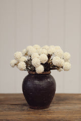 Morandi Bloom Bouquet | Cream
