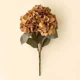 Autumn Hydrangea Spray | Burnt Orange