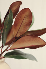 Magnolia Leaf Branch | Green