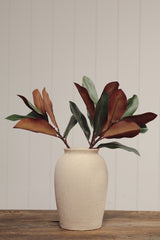 Magnolia Leaf Branch | Green