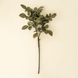 Banyan Branch | Green