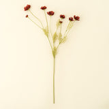 Calliopsis Spray | Rust Red