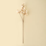 Sweet Pea Stem | Cream