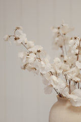 Sweet Pea Stem | Cream