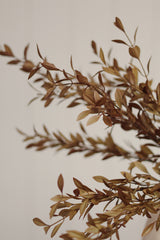 Willow Leaf Spray | Harvest