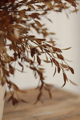 Willow Leaf Spray | Harvest