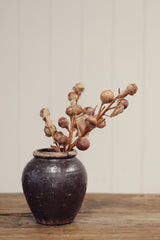 Autumn Nut Spray | Brown