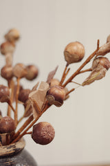 Autumn Nut Spray | Brown