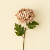Chrysanthemum Stem | Dusty Pink