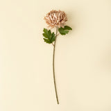 Chrysanthemum Stem | Dusty Pink