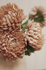 Chrysanthemum Stem | Dusty Pink