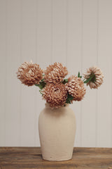 Chrysanthemum Stem | Dusty Pink
