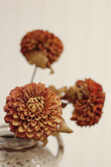 Pompon Dahlia Stem | Brown