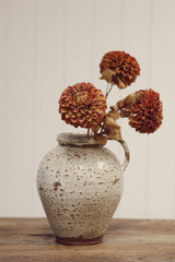 Pompon Dahlia Stem | Brown