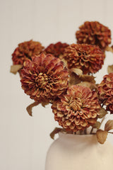 Pompon Dahlia Stem | Brown