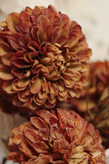 Pompon Dahlia Stem | Brown