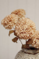 Pompon Dahlia Stem | Cream
