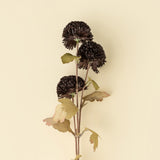 Pom Pom Floral Spray | Midnight