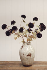 Pom Pom Floral Spray | Midnight