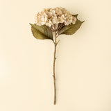 Heirloom Hydrangea Stem | White