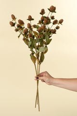 Globe Amaranth Spray | Brown