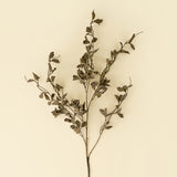 Smoked Eucalyptus Spray