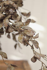 Smoked Eucalyptus Spray