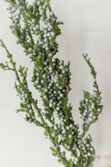 Juniper Spray | 32"
