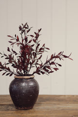 Willow Leaf Spray | Plum