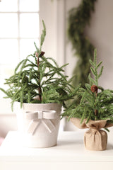 Stoneware Bow Pot | Large