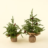 Winterwood Tabletop Tree | Small
