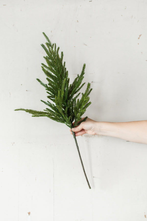 Fresh Touch Norfolk Pine Branch | 29"
