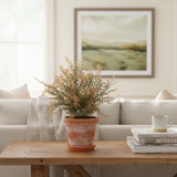 Chickweed Bush | Clay
