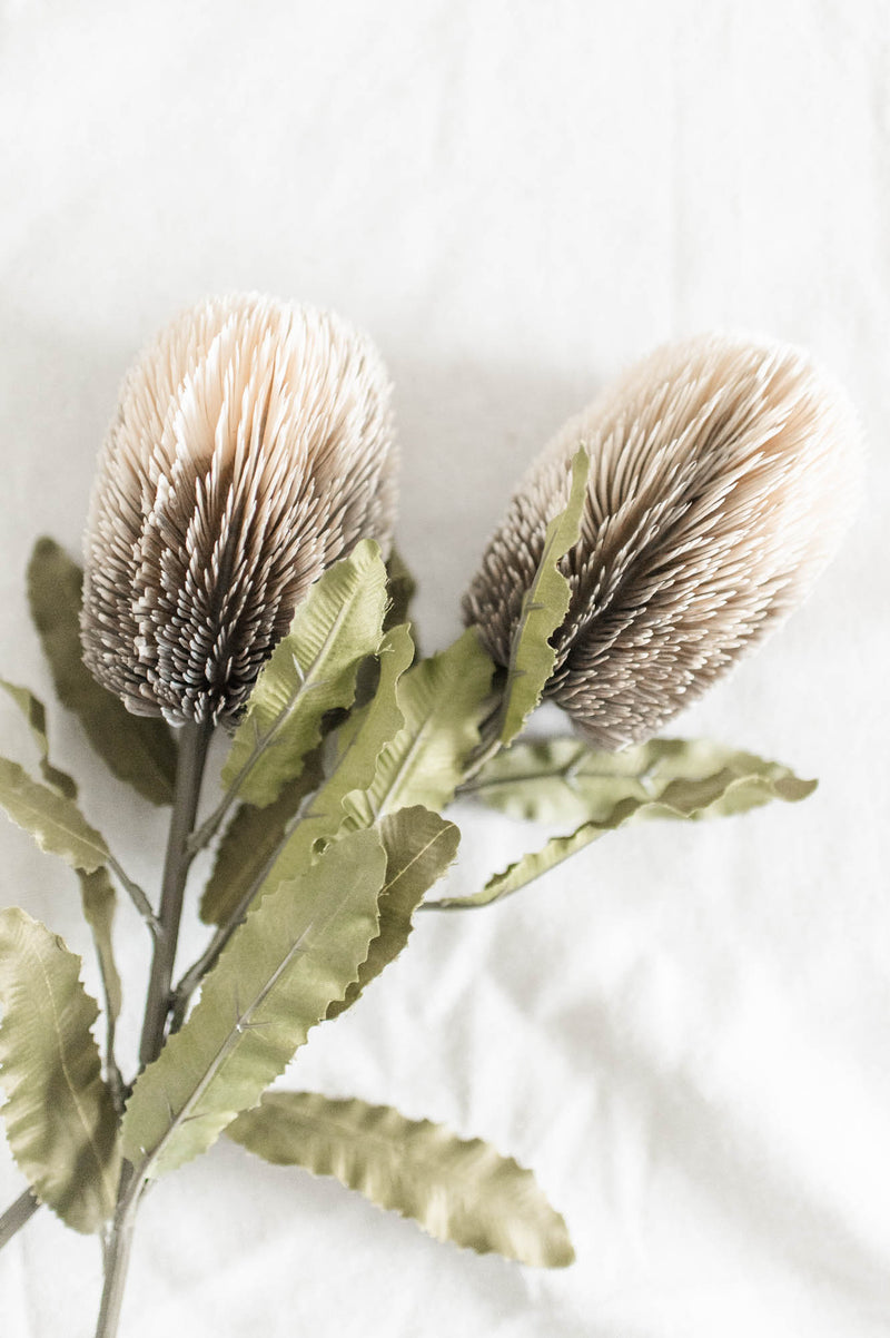 Banksia Floral Stem | Cream