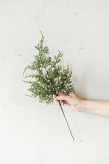 Juniper Spray | 18"