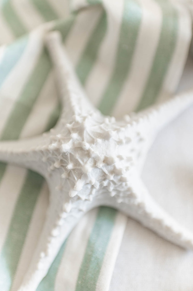 Raised White Starfish | Medium - FINAL SALE