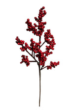 Red Berry Outdoor Spray | 21"