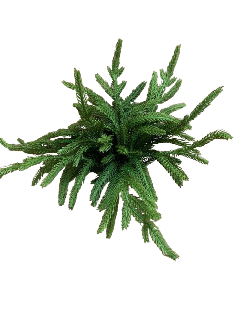 Fresh Touch Norfolk Pine Pick | 12"