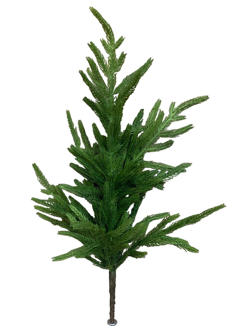 Fresh Touch Norfolk Pine Branch | 29"