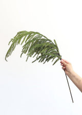 Fresh Touch Norfolk Pine Spray | 36"