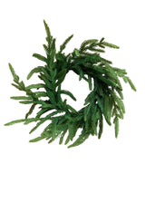 Fresh Touch Norfolk Pine Wreath | 16"