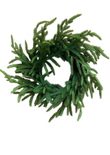 Fresh Touch Norfolk Pine Wreath | 20"